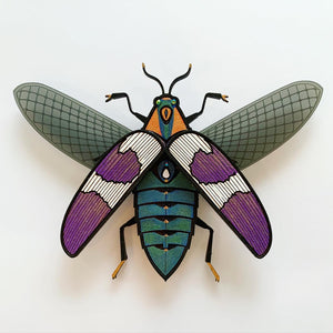 Jeweled Beetle