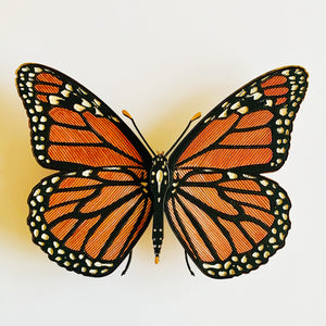 Monarch Butterfly